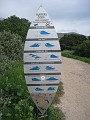 Carpinteria California 2010-02 0250